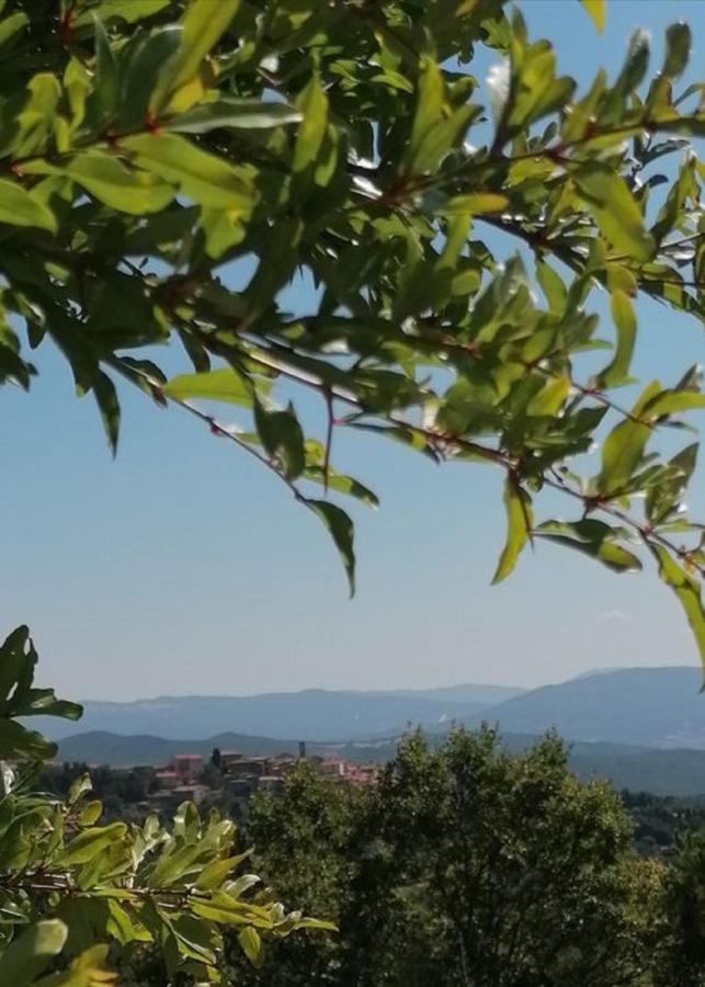 Beautiful Apartment With Exclusive Garden And Terrace Monteverdi Marittimo Exterior foto